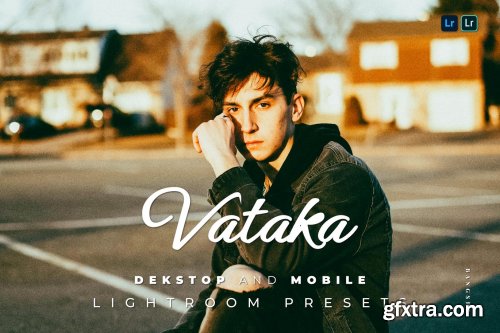 Vataka Desktop and Mobile Lightroom Preset