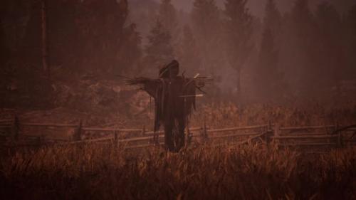 Videohive - Terrible Scarecrow in Dark Cloak and Dirty Hat Stands Alone in Autumn Field - 35006536