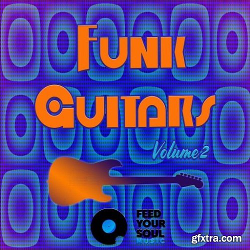 Feed Your Soul Music Funk Guitars Volume 2 WAV