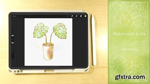 Watercolor and Ink Illustration in Procreate | Let\'s draw a Monstera