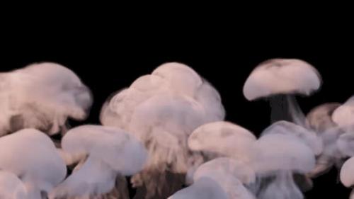 Videohive - Mushroom Smoke Rising 2 HD - 35085261