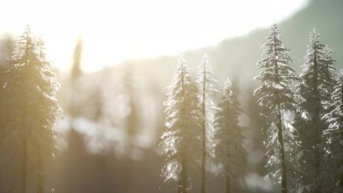 Videohive - Dramatic Winter Sunrise in the Mountains - 35165518