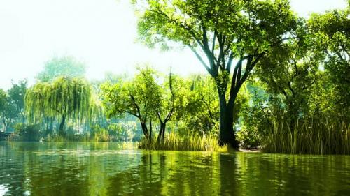 Videohive - Scenic View of the Park in the Center of the Big City in the Summer - 35165139