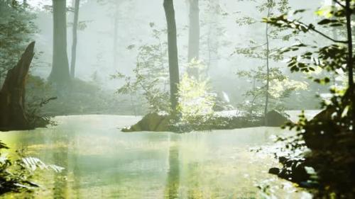 Videohive - Sunrise with Sunbeams Through the Forest By the Lake - 35165153