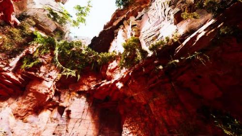 Videohive - Large Fairy Rocky Cave with Green Plants - 35167392
