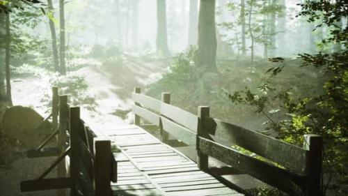 Videohive - Old Wooden Bridge Over a Small Stream in a Park - 35167449