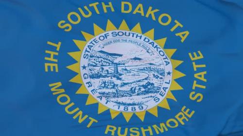 Videohive - Flag of South Dakota State Region of the United States Waving at Wind - 35172430