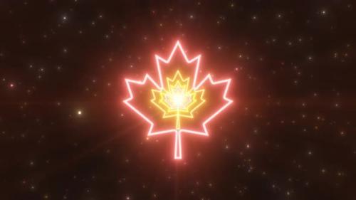 Videohive - Maple Leaf Fall Autumn Thanksgiving Season Neon Light Tunnel Canada - 4K - 35156864