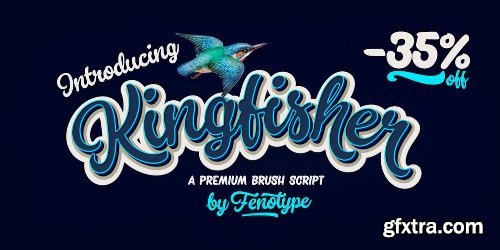 Kingfisher Font Family - 8 Fonts