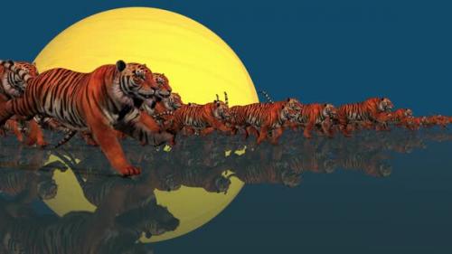 Videohive - Moon Tigers - 35209124