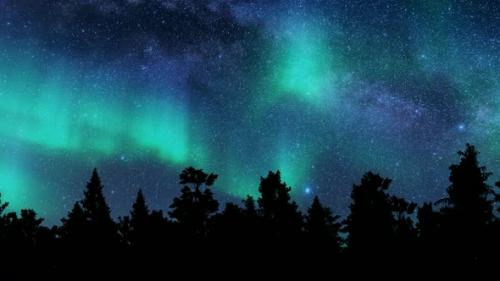 Videohive - Aurora Northern Lights Trees Vacation Travel Winter Forest Landscape Starry Sky - 35210396