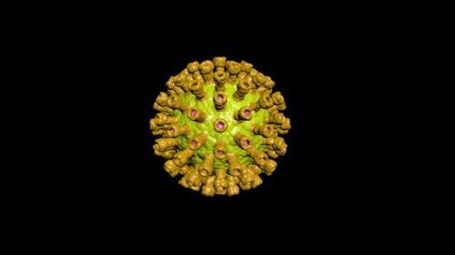 Videohive - Mutation Virus in 3d Style Epidemic Pandemic Medical Science Coronavirus Vaccine - 35210509