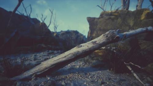Videohive - Dry Dead Tree Branches and Mountain Ridge - 35250625
