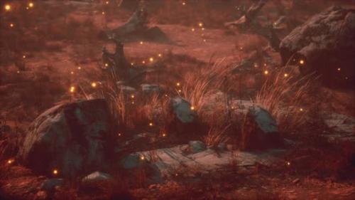 Videohive - Fireflies Above Dry Grass and Stones at Sunset - 35250886