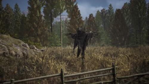 Videohive - Terrible Scarecrow in Dark Cloak and Dirty Hat Stands Alone in Autumn Field - 35266282