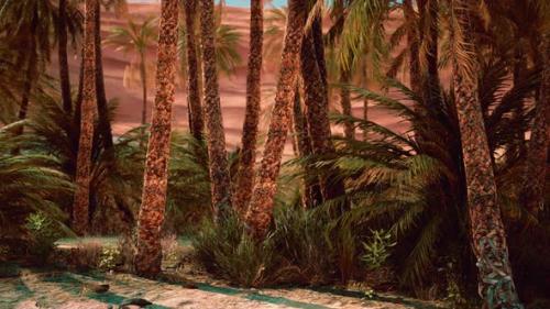 Videohive - Palm Trees in the Sahara Desert - 35266334