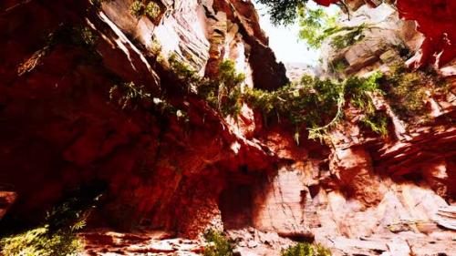 Videohive - Large Fairy Rocky Cave with Green Plants - 35266577