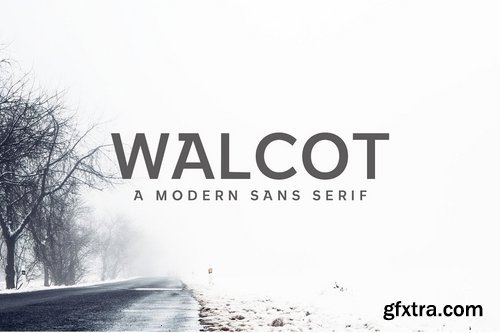 Walcot Modern Sans Serif Font 3388504