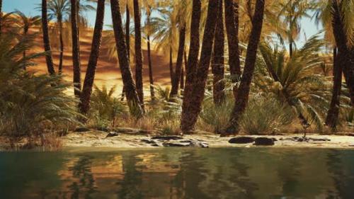 Videohive - Green Oasis with Pond in Sahara Desert - 35252676