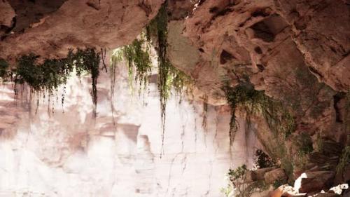 Videohive - Inside a Limestone Cave with Plants and Sun Shine - 35325510