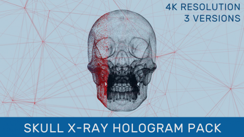 Videohive - Human Skull X-Ray Hologram Pack - 35334948