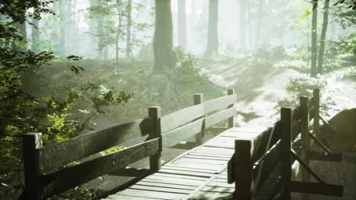 Videohive - Old Wooden Bridge Over a Small Stream in a Park - 35367700