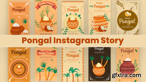 Videohive Pongal Instagram Story Pack 35403593