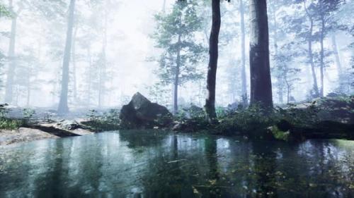 Videohive - Mist on Pond in Forest with Fog - 35325140