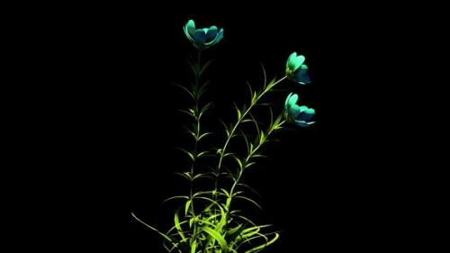 Videohive - Wild Flowers Botanical Floral 3D Rendering - 35329114