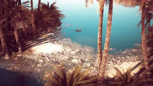 Videohive - Pond and Palm Trees in Desert Oasis - 35367160