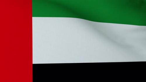 Videohive - Waving United Arab Emirates flag - 31001671