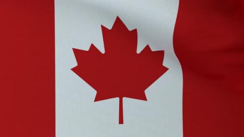 Videohive - Waving Canada flag - 31123994