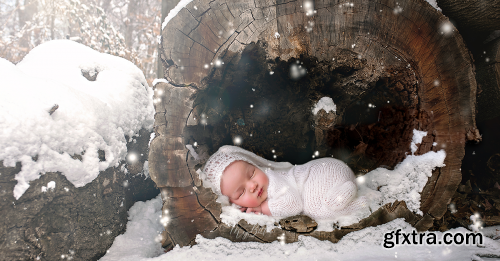 Meg Bitton - Newborn Digital Backdrop - Snowy Log