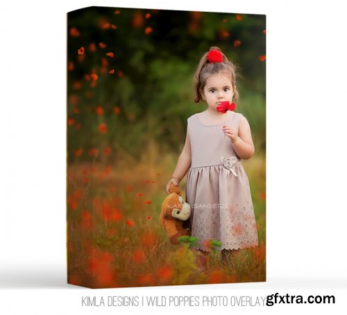 Kimla Designs - Wild Poppies Photo Overlays