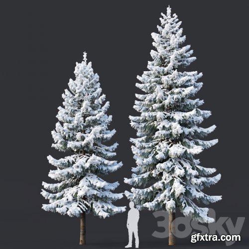 Spruce #6 Two sizes H8-10m. Modular branches