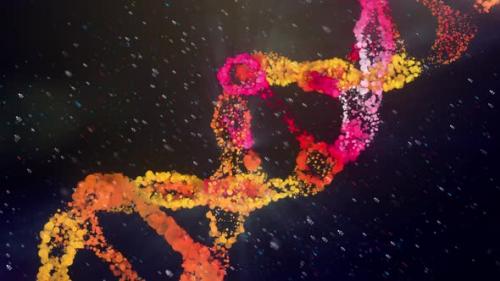 Videohive - Abstract Dot Digital Dna Red - 35368116