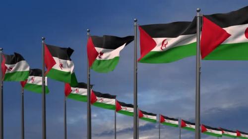 Videohive - The Western Sahara Flags Waving In The Wind 2K - 35368280