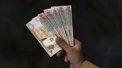 Videohive - Jordan Dinar money fan of banknotes in hand - 35280671