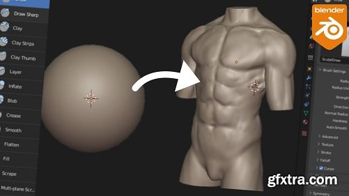 Blender: Sculpt a male torso for beginners