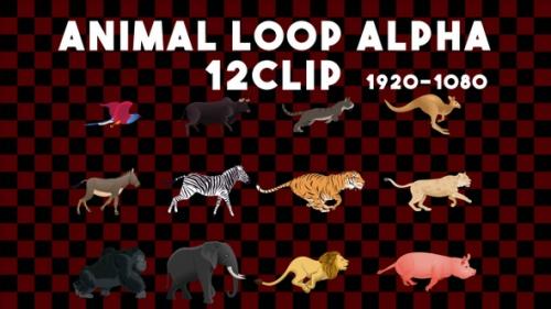 Videohive - Animal Animation Alpha 12 Clip - 35270344