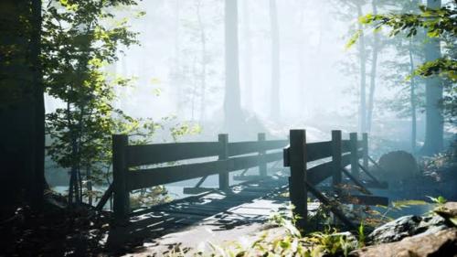 Videohive - Wooden Bridge Into Forest with River - 35495769