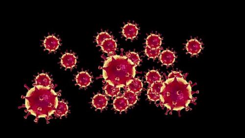 Videohive - Animated 3d Coronavirus Cells on a Black Background - 35451179