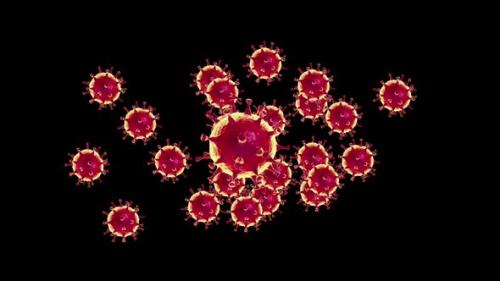 Videohive - Coronavirus 3D Microscopic Infection Animated Motion Graphics - 35451182