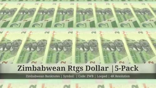 Videohive - Zimbabwean Rtgs Dollar | Zimbabwe Currency - 5 Pack | 4K Resolution | Looped - 35541752