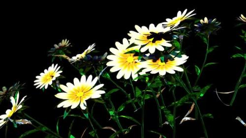Videohive - White Flower Botanical 3D Rendering - 35541805