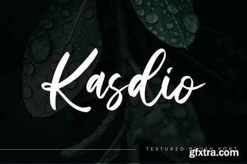 Kasdio - Casual Brush Font