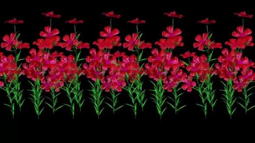 Videohive - Petunia Botanical Flowers 3D Rendering - 35630797