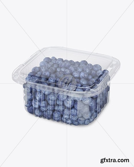 Container w/ Blueberry Mockup 49728