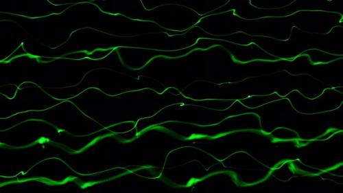 Videohive - Abstract Green Smooth Line Wave Motion Animated On Black Background - 35757412