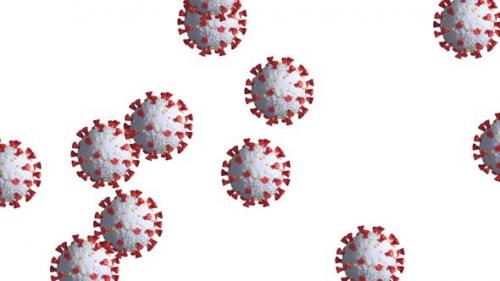 Videohive - Animation of multiple cells of coronavirus spending on white background - 35624242